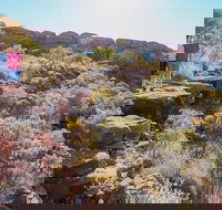 Kings Canyon Day Trip from Ayers Rock - New South Wales Tourism 