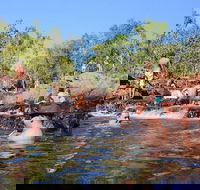 Litchfield and Jumping Crocodiles Full Day Trip from Darwin - New South Wales Tourism 