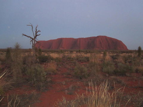 Uluru Base And Sunset Half-Day Trip With Optional Outback BBQ Dinner - New South Wales Tourism  3