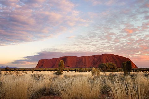 Uluru Base And Sunset Half-Day Trip With Optional Outback BBQ Dinner - New South Wales Tourism  15