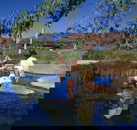 Palm Valley 4WD Tour - New South Wales Tourism 