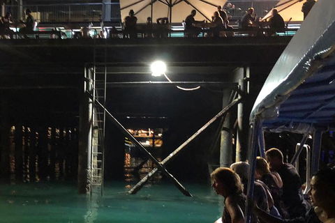 Darwin Sunset Cruise, Including Fish \'n\' Chips - New South Wales Tourism  8