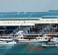Darwin Harbour Bombing of Darwin Cruise - New South Wales Tourism 