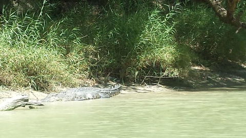 3-Day Kakadu National Park And Waterfalls Tour From Darwin - New South Wales Tourism  2
