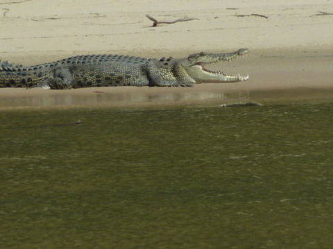3-Day Kakadu National Park And Waterfalls Tour From Darwin - New South Wales Tourism  4