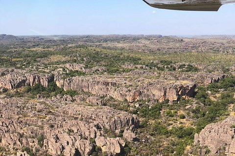 Kakadu National Park Scenic Flight & Cruise - New South Wales Tourism  10