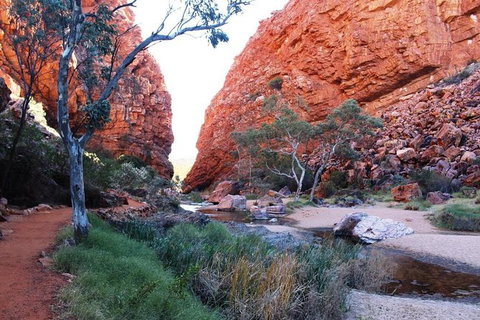 Half Day MacDonnell Ranges Small Group - Private Guided Tour - New South Wales Tourism  0