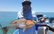 Multi-Day Barramundi And Bluewater Fishing Safaris From Darwin - thumb 4