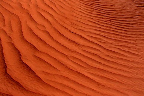 Overnight Uluru Adventure Safari - New South Wales Tourism  0