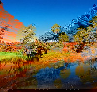 Palm Valley 4WD Day Tour - New South Wales Tourism 