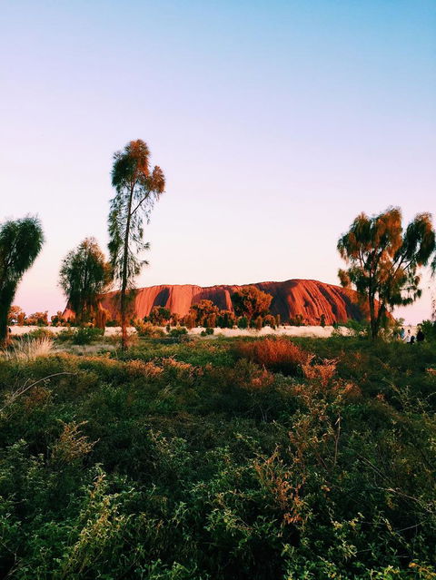 Uluru & Kata Tjuta Sights & Sounds - New South Wales Tourism  3