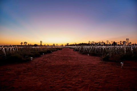 Uluru & Kata Tjuta Sights & Sounds - New South Wales Tourism  16