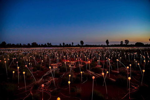 Uluru & Kata Tjuta Sights & Sounds - New South Wales Tourism  8