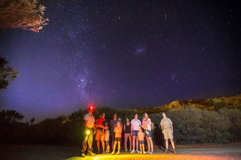 Alice Springs Desert Park Nocturnal Tour - New South Wales Tourism  1