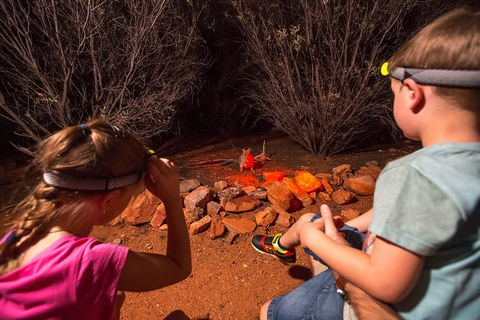Alice Springs Desert Park Nocturnal Tour - New South Wales Tourism  3
