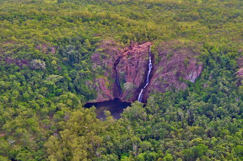 Litchfield Park & Daly River - Scenic Flight From Darwin - New South Wales Tourism  9