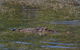 Kakadu, Nourlangie And Yellow Waters Tour From Darwin - thumb 16