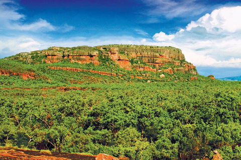Kakadu, Nourlangie And Yellow Waters Tour From Darwin - New South Wales Tourism  1