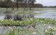 Kakadu, Nourlangie And Yellow Waters Tour From Darwin - thumb 12