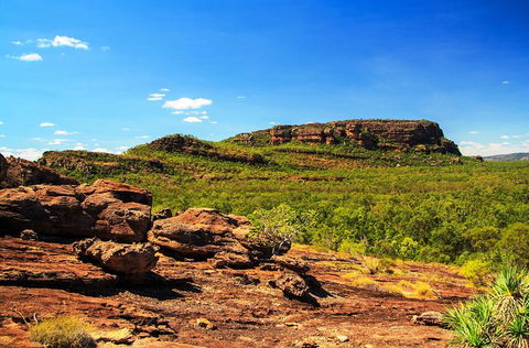 Kakadu, Nourlangie And Yellow Waters Tour From Darwin - New South Wales Tourism  34