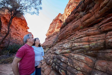 3-Day Alice Springs To Uluru (Ayers Rock) Via Kings Canyon Tour - New South Wales Tourism  17