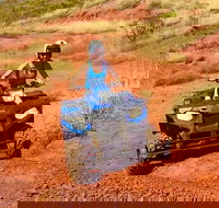 Aussie Outback Air and Land Tour Including Quad Bike Ride - New South Wales Tourism 