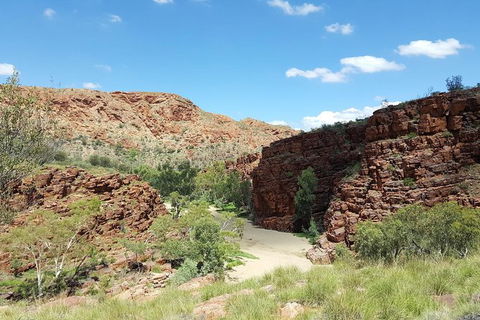 East MacDonnell Ranges 1 Day 4WD Tour - New South Wales Tourism  2
