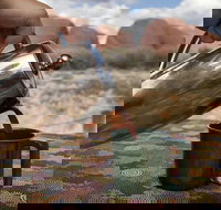 Kata Tjuta Small-Group Tour Including Sunrise and Breakfast - New South Wales Tourism 