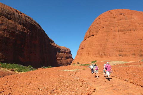 Overnight Uluru (Ayers Rock) Small-Group Camping Tour - New South Wales Tourism  6