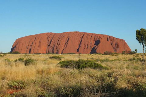 Overnight Uluru (Ayers Rock) Small-Group Camping Tour - New South Wales Tourism  8