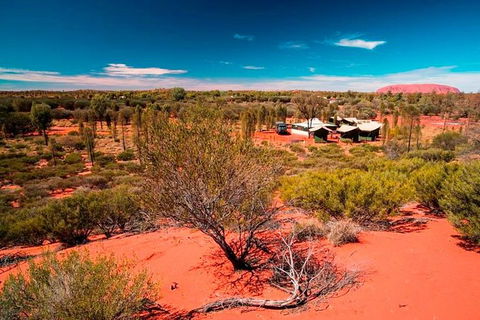 Overnight Uluru (Ayers Rock) Small-Group Camping Tour - New South Wales Tourism  0