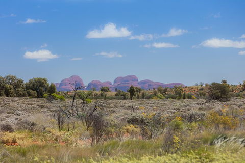 Overnight Uluru (Ayers Rock) Small-Group Camping Tour - New South Wales Tourism  15