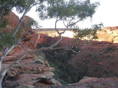 3-Day Uluru And Kings Canyon Camping Experience From Alice Springs Including Outback BBQ Dinner - New South Wales Tourism  1