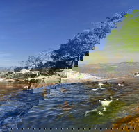 5-Day Top End Kakadu National Park Arnhem Land and Litchfield National Park Camping Tour from Darwin - New South Wales Tourism 