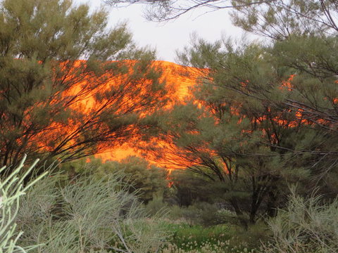 3-Day Ayers Rock, Olgas And Kings Canyon Camping Safari - New South Wales Tourism  6
