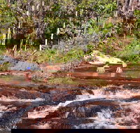Litchfield National Park Day Tour from Darwin With Waterfalls And Buley Rockhole - New South Wales Tourism 