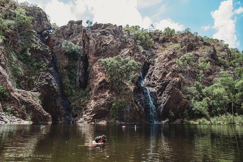 Litchfield National Park Day Tour From Darwin With Waterfalls And Buley Rockhole - New South Wales Tourism  13