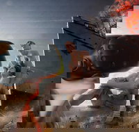 Darwin Combo The Bombing of Darwin Experience  Darwin Harbour Cruise - New South Wales Tourism 