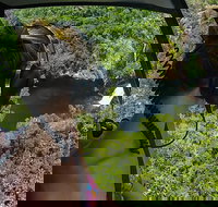 Litchfield Private Waterfall Getaway - New South Wales Tourism 