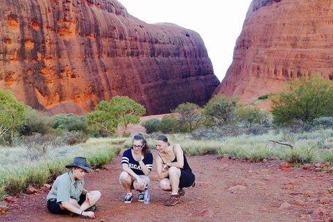 Afternoon Kata Tjuta Small Group Tour - New South Wales Tourism  7