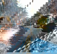 5-Day Inspiring Ancient Kakadu 4WD Journey from Darwin - New South Wales Tourism 