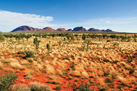 2-Day Uluru (Ayers Rock) And Kata Tjuta Trip From Alice Springs - New South Wales Tourism  9