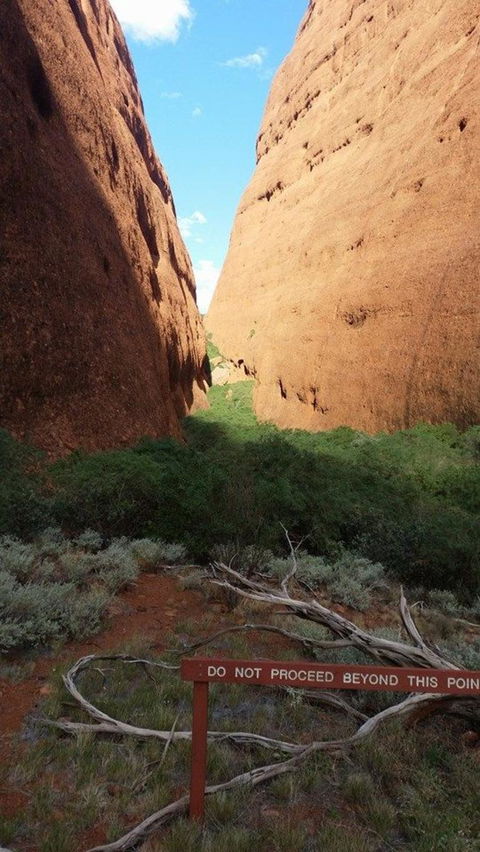 Kata Tjuta Sunrise And Valley Of The Winds Half-Day Trip - New South Wales Tourism  4