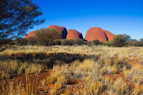 Kata Tjuta Sunrise And Valley Of The Winds Half-Day Trip - New South Wales Tourism  11
