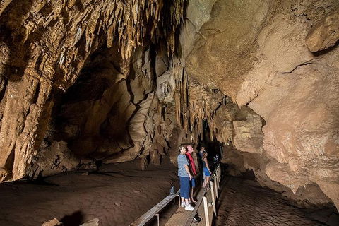 Cutta Cutta Caves Nature Park Guided Tours - New South Wales Tourism  1