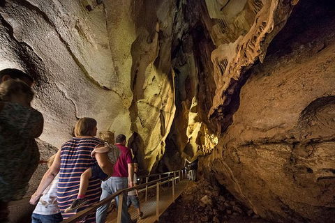 Cutta Cutta Caves Nature Park Guided Tours - New South Wales Tourism  0