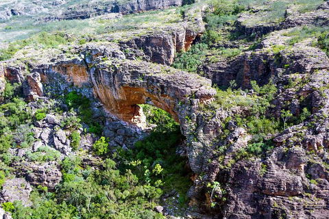 Darwin To Katherine Day Trip By Air Including Nitmiluk (Katherine) Gorge Cruise - New South Wales Tourism  5