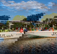 830am Safari Cruise 1.5 Hours - New South Wales Tourism 