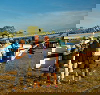 Wildman half-day morning tour - New South Wales Tourism 