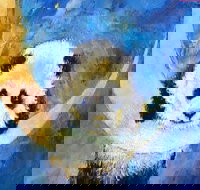 Panda Moon - Six Tanks 7.00-9.00pm - New South Wales Tourism 